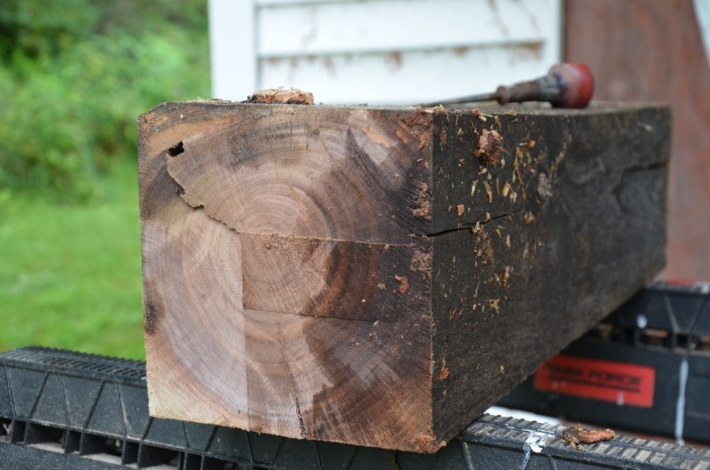 Live Edge Class