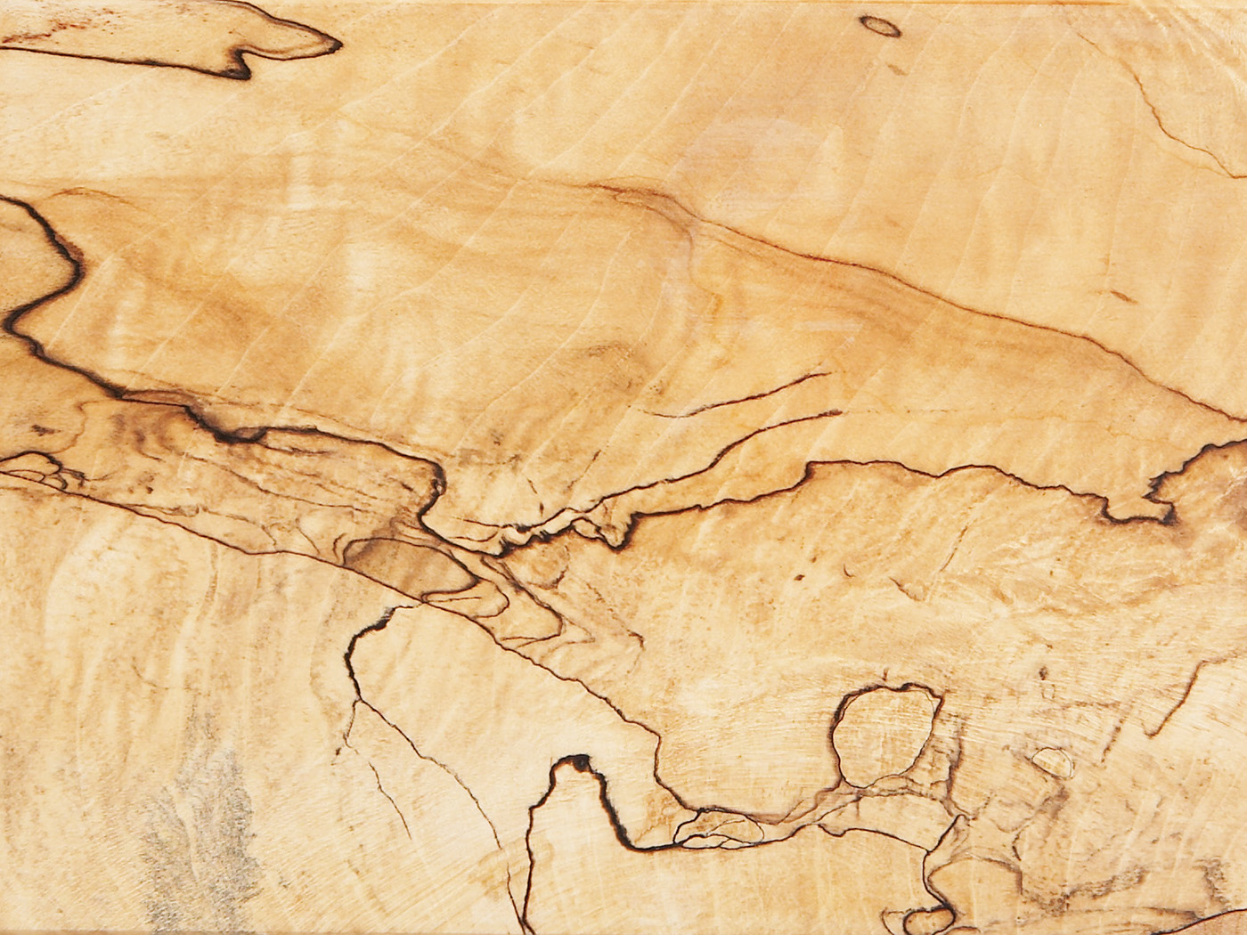 Spalted Maple | Popular Woodworking