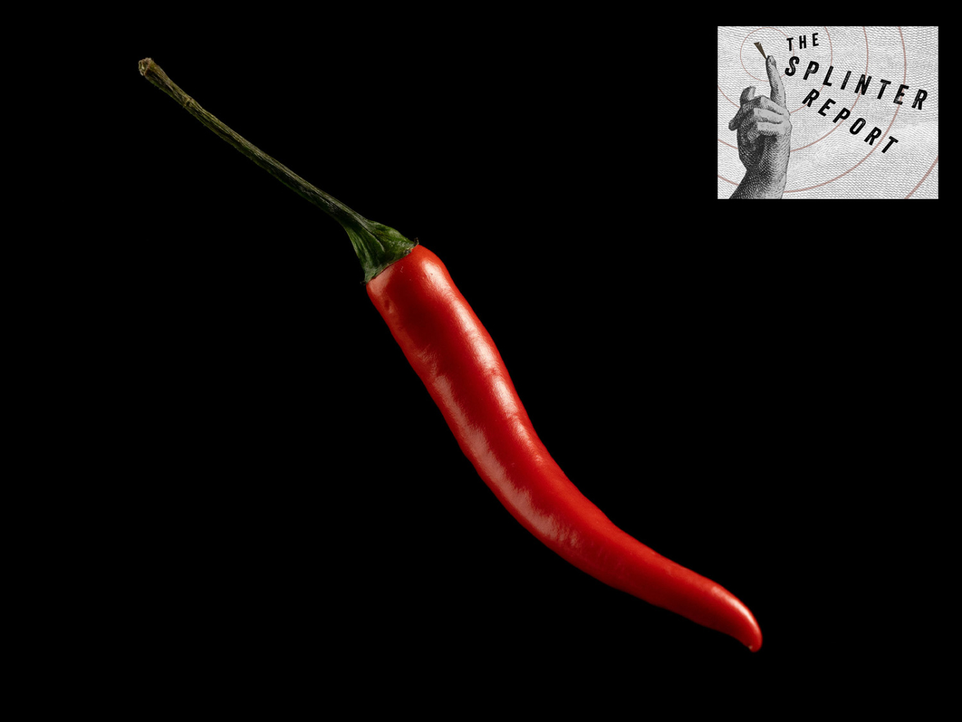 The Splinter Report: April 17th | Popular Woodworking