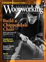 Issue 238