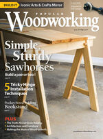 Issue 239